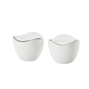 SERVICE DE VAISSELLE BRICARD MELUN BLANC-ARGENT